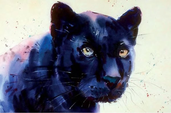 Пантера акварелью