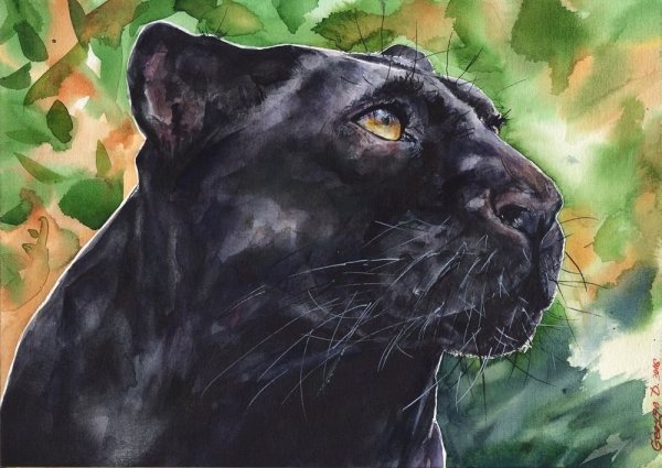 Пантера акварелью