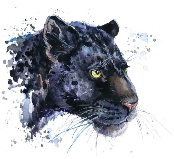 Пантера акварелью