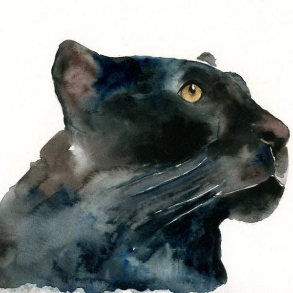 Черная акварель