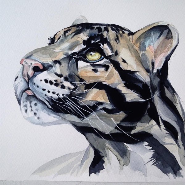 Стилизованные животные акварель