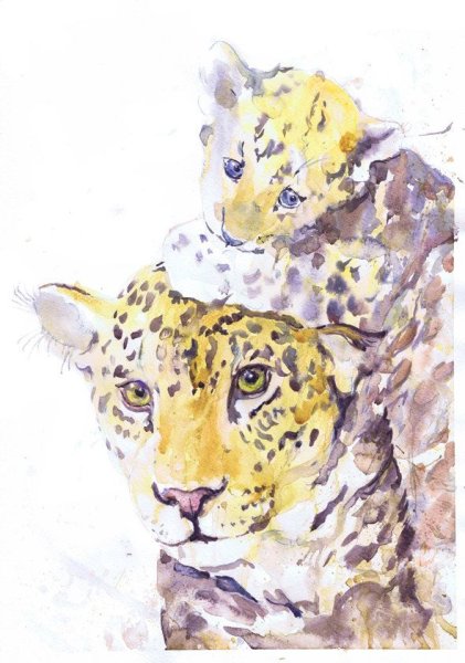 Акварель Solberg леопард