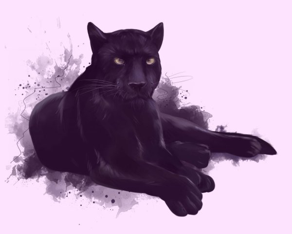 Обои пантера на снегу