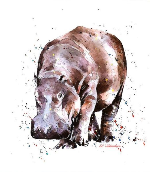 Бегемот акварелью