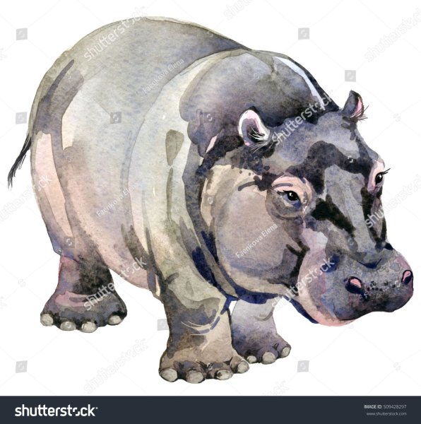 Бегемотик акварель