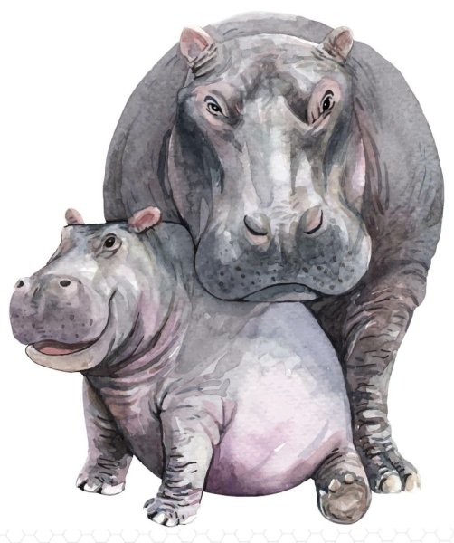 Милые Акварельные иллюстрации бегемотика