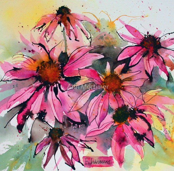 Цветы акварель эхинацея