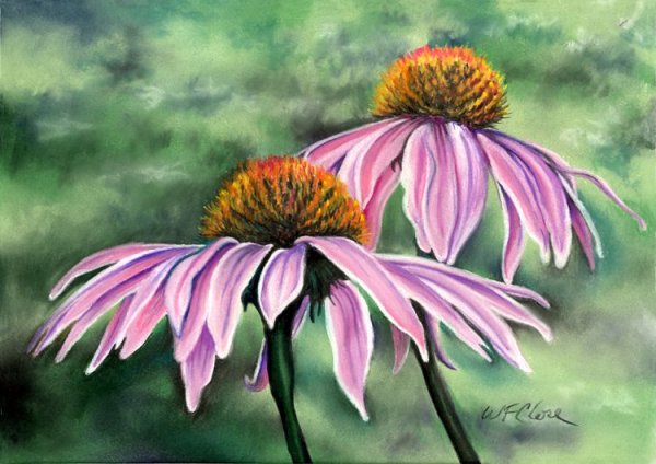 Marni Maree художник