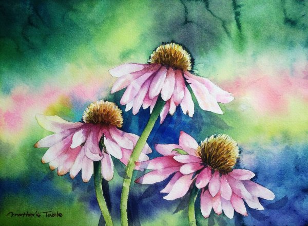 Эхинацея скетч черно-белый