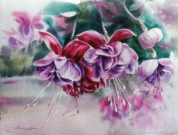 Художница Наоми фуксия