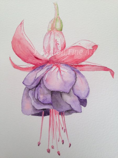 Цветок карандашом и акварелью