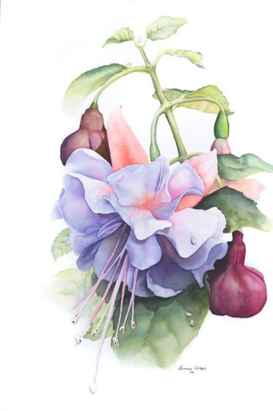 Цветы акварель фуксия