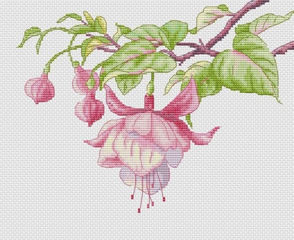 Цветочные акварели Sharon Freeman