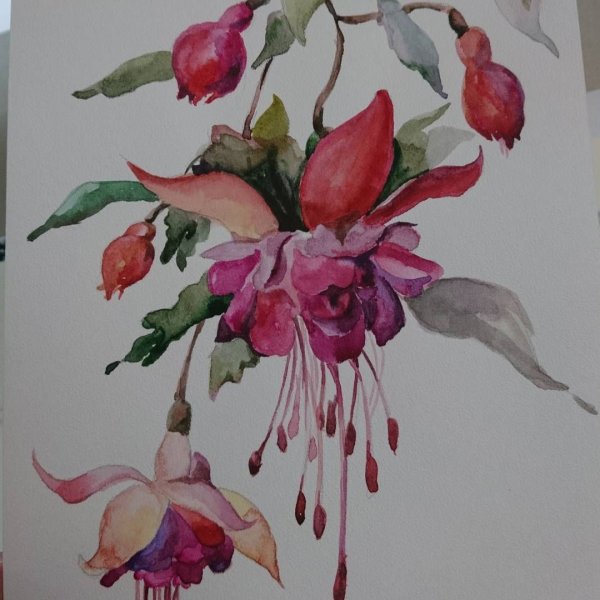 Фуксия Ван Гог