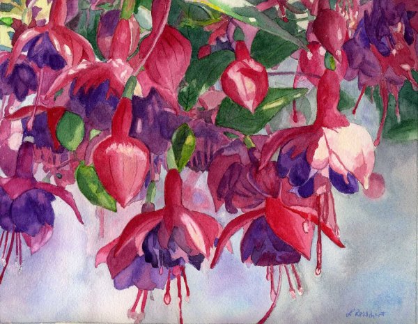 Фуксия в живописи