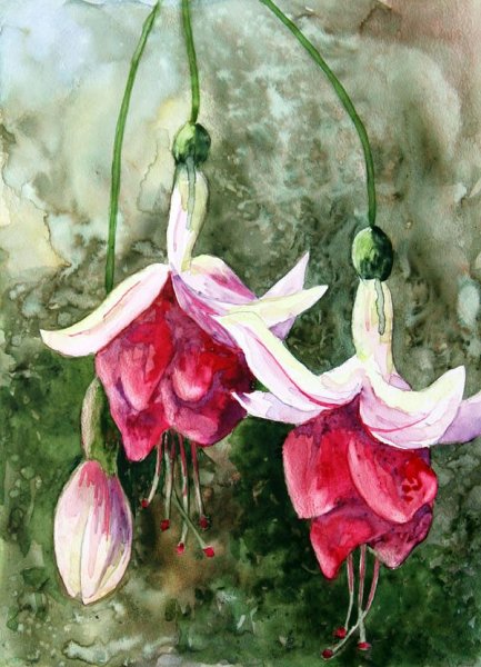 Kitipong Maksin художник