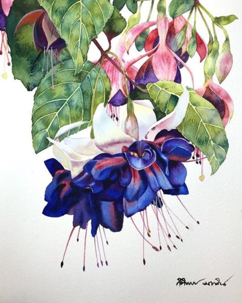 Фуксия в живописи