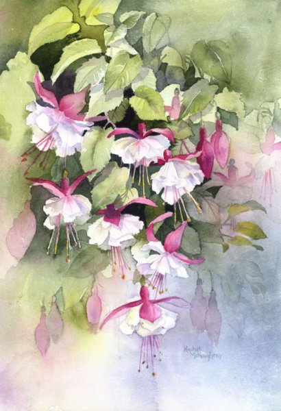 Китайская живопись фуксия