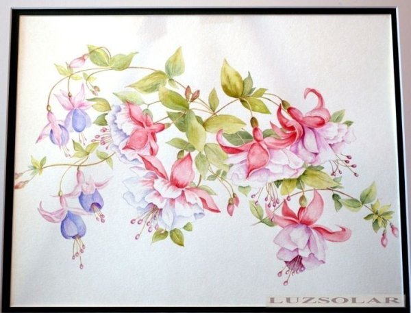 Цветы акварель фуксия