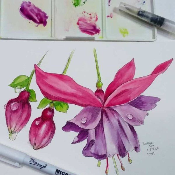 Краска акварель фуксия