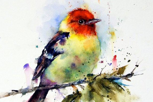 Птицы и звери в акварели Дина Крузера.