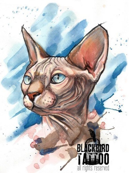 Сфинкс акварелью