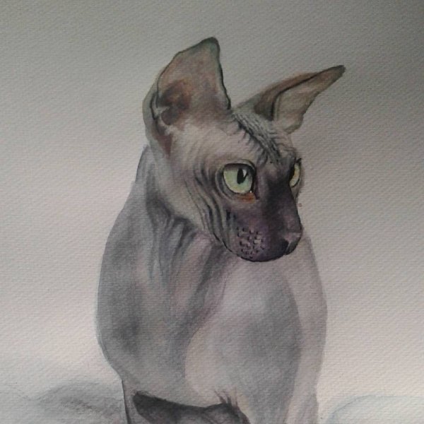 Сфинкс акварелью