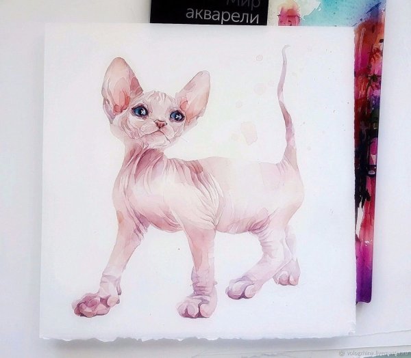 Розовый сфинкс рисунок