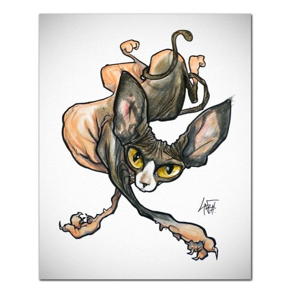 Шарж с кошкой