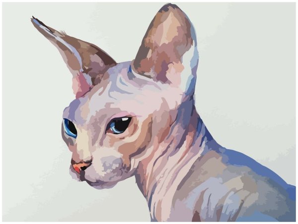Кошка сфинкс акварель