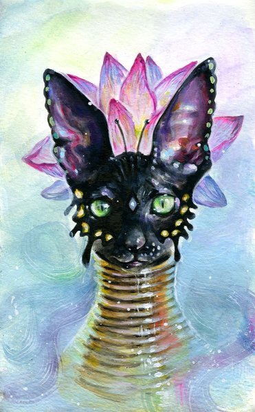 Кот сфинкс арт