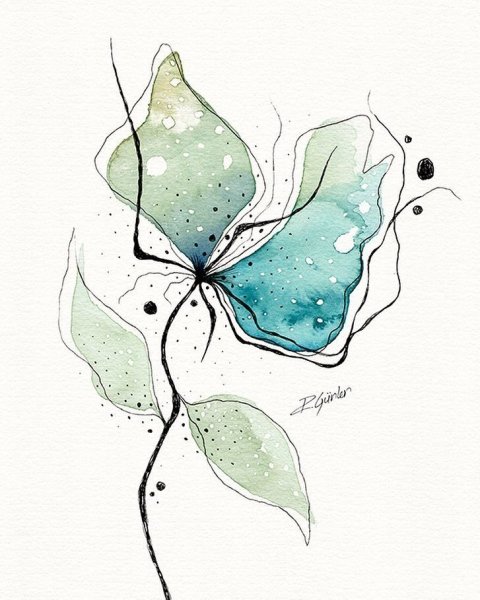 Екатерина Королева иллюстратор