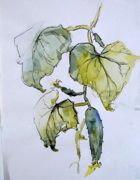 Акварели корейской художницы sunga Park