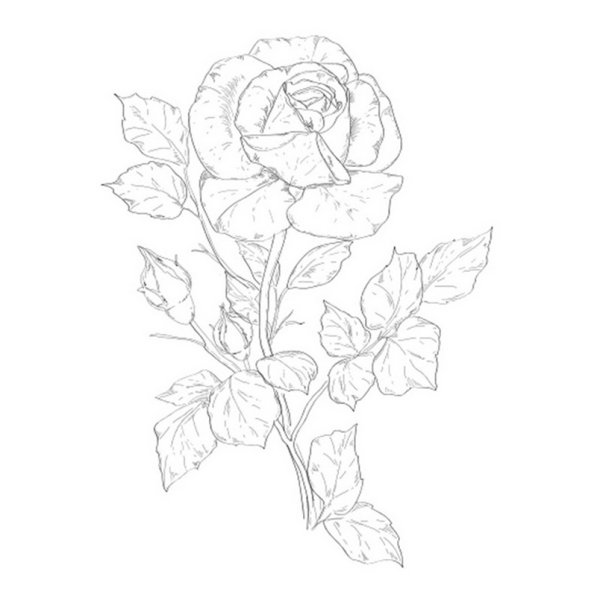 Эскизы для батика цветы