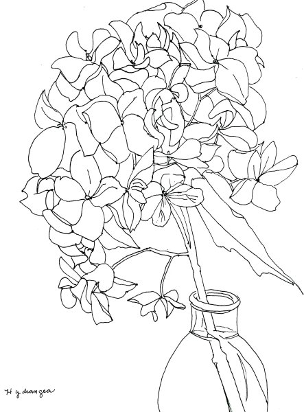 Апельсин раскраска