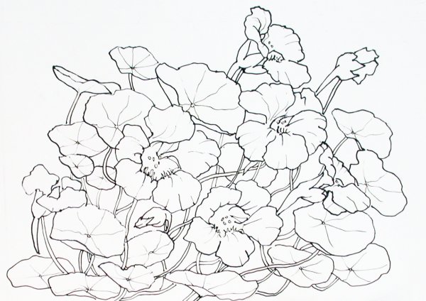 Раскрасить красками