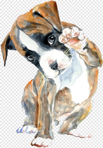 Кокер спаниель акварелью