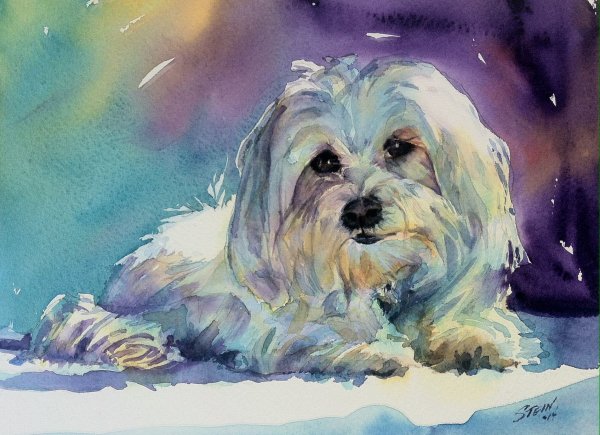 Немецкая овчарка Мухтар арт