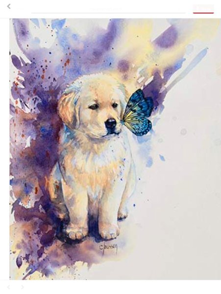 Джек-Рассел-терьер akvarel