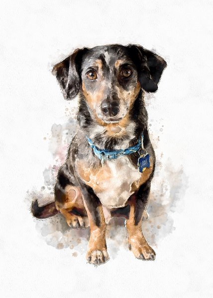 Щенок акварель