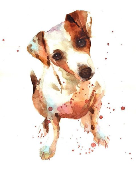 Собака гуашью для детей