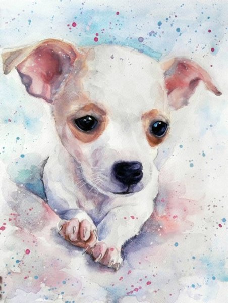 Собака акварелью