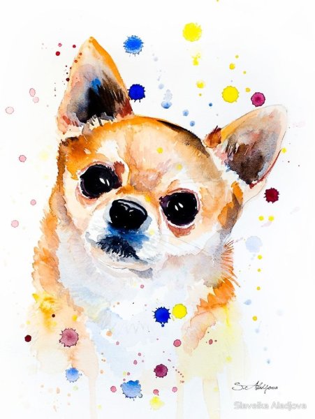 Наброски животных акварелью