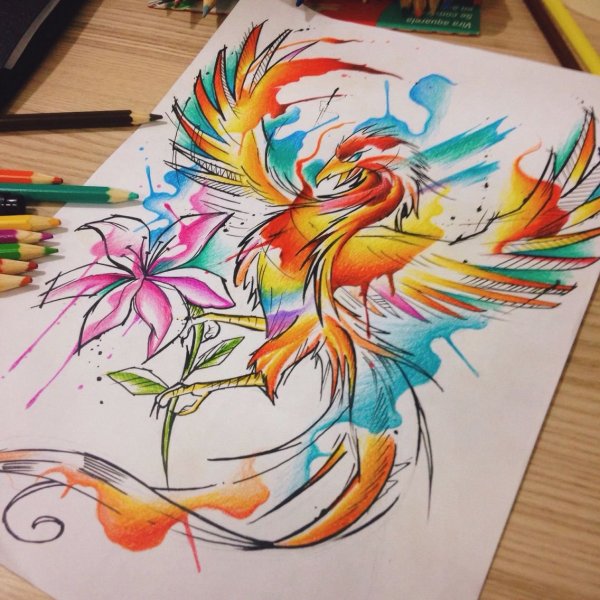 Aquarela Феникс