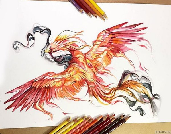 Птица Феникс акварель