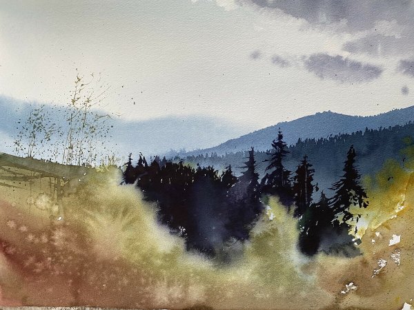 Вероника Калачева акварель