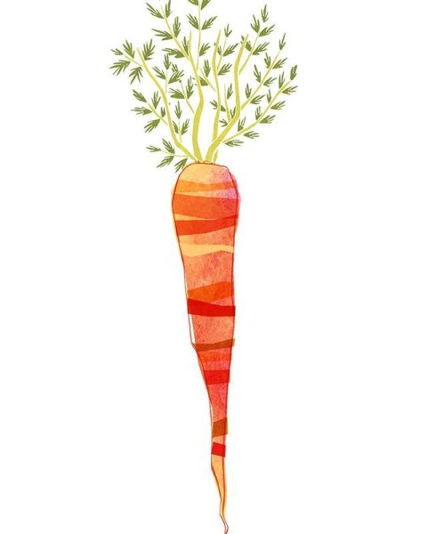 Морковь гуашью