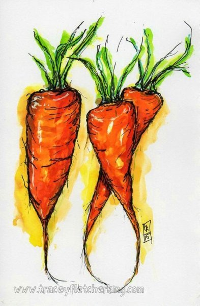 Скетч морковь акварелью
