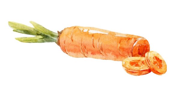Морковка акварелью на прозрачном фоне