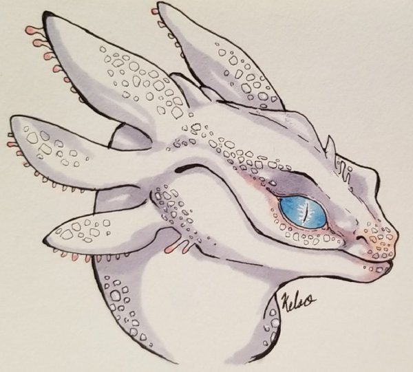 Дракон Беззубик и Стич